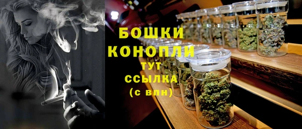 прущий лед Арсеньев