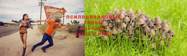 прущий лед Арсеньев