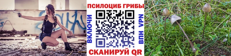 Псилоцибиновые грибы мухоморы  где продают наркотики  Крым 